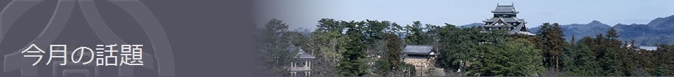 今月の話題